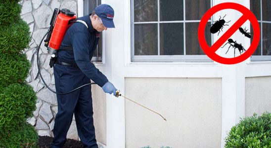 Çiğli Gümüşkurt İlaçlama böcek ilaçlama ve haşere kontrolü — ilaclama-tr.com